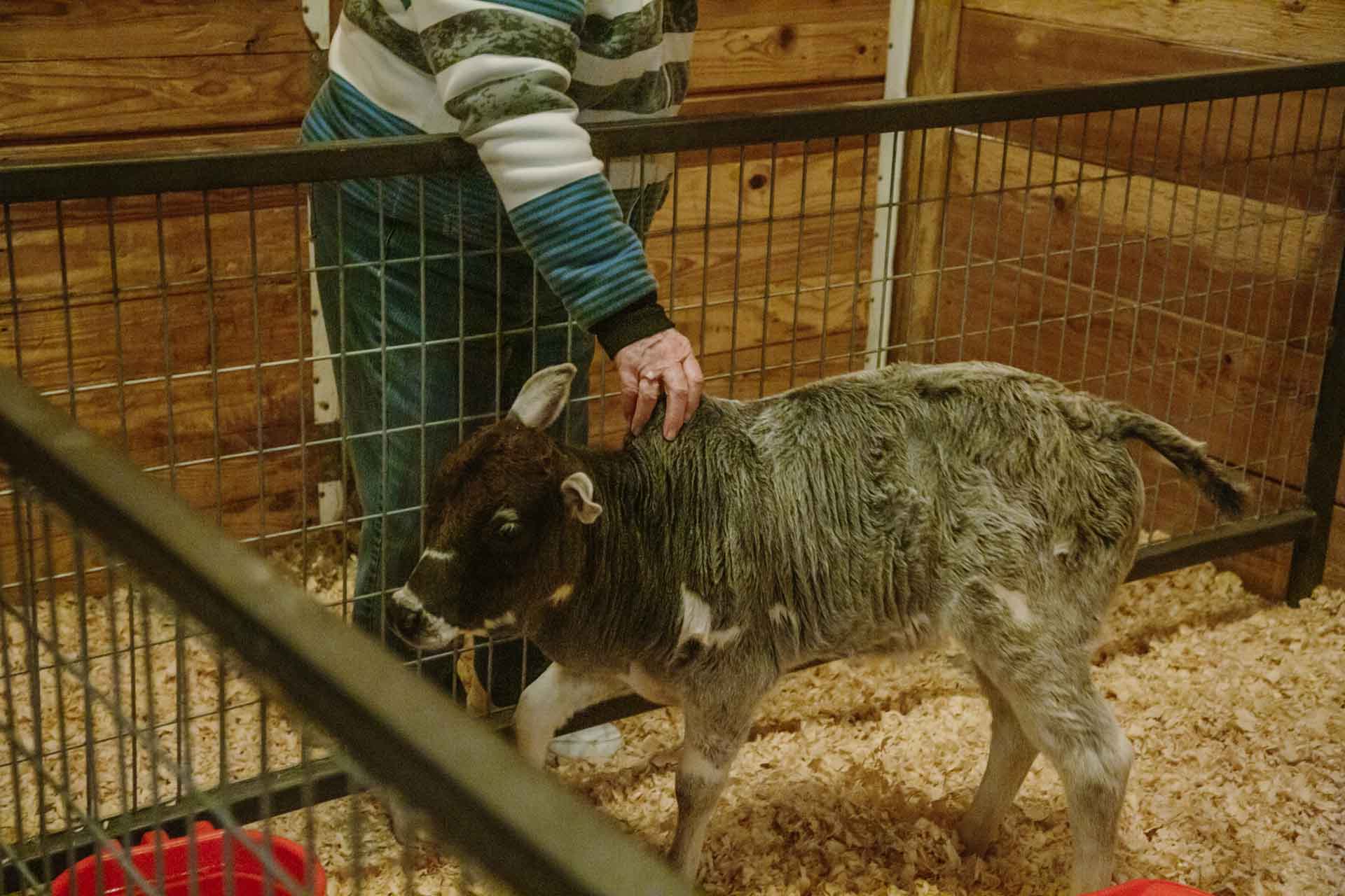 Missouri Petting Zoo - Country Roads Family Fun Farm