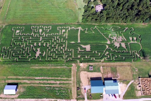 Aerial View of 2019 Robin Hood Corn Maze - Stotts City, Missouri