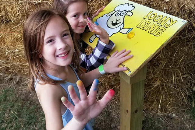 Activity stations in the hay bale maze