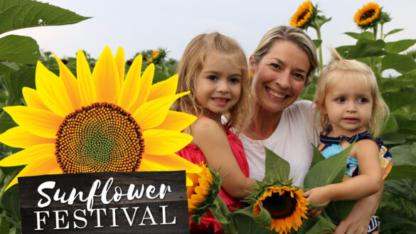 Sunflower Festival at Country Farms - August 22 - Sept 13