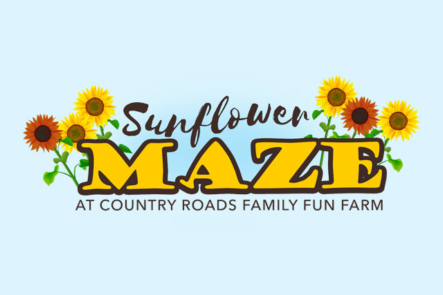 Sunflower Maze at Country Roads Missouri