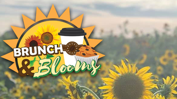 Brunch & Blooms Event at Country Road's Sunflower Festival